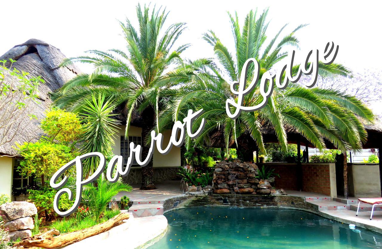 Parrot Lodge Bulawayo Εξωτερικό φωτογραφία